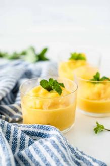 Vitamix Mango Sorbet