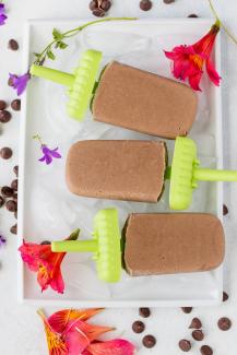 Vegan Fudgesicles